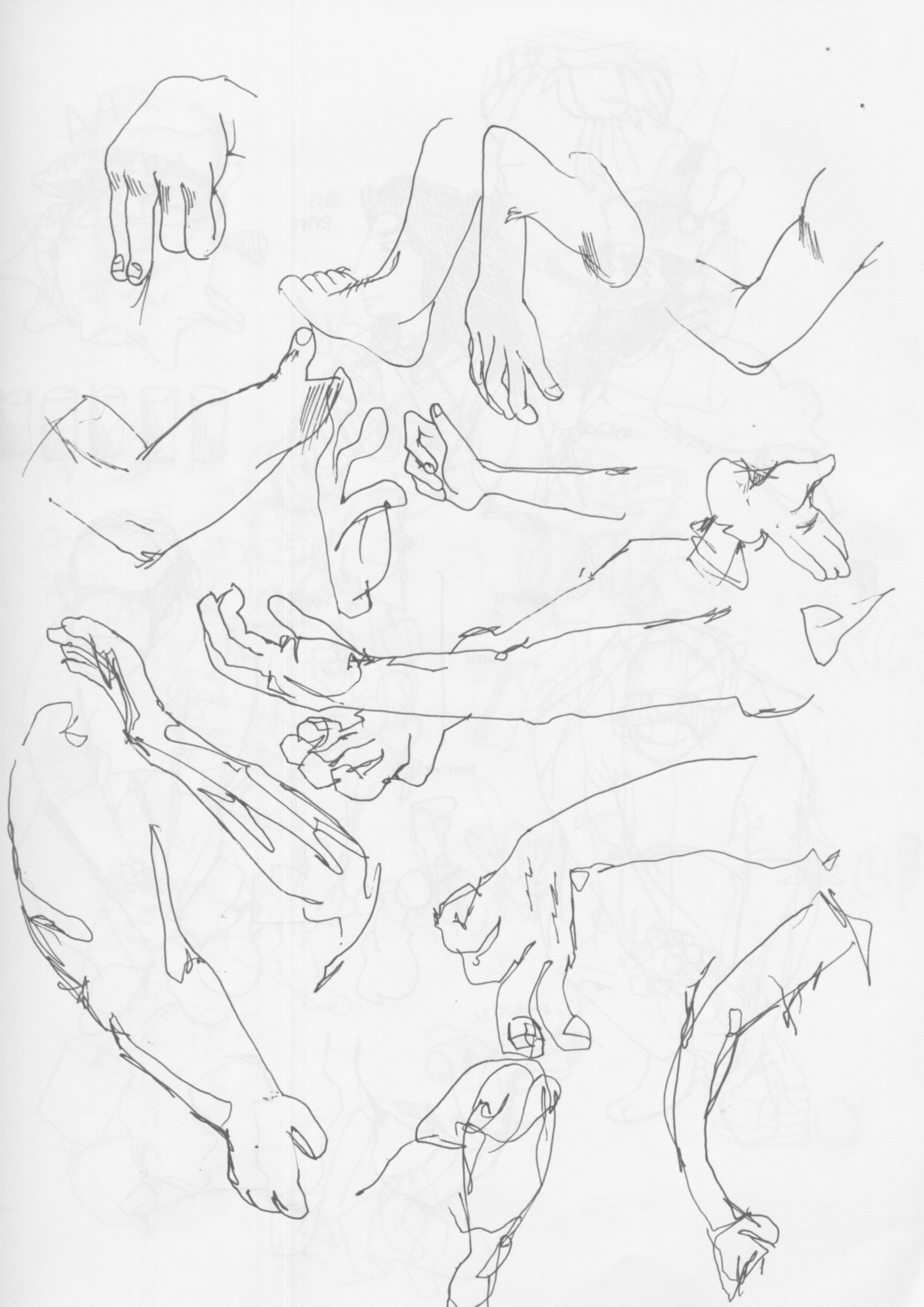 Sketchbook page 5