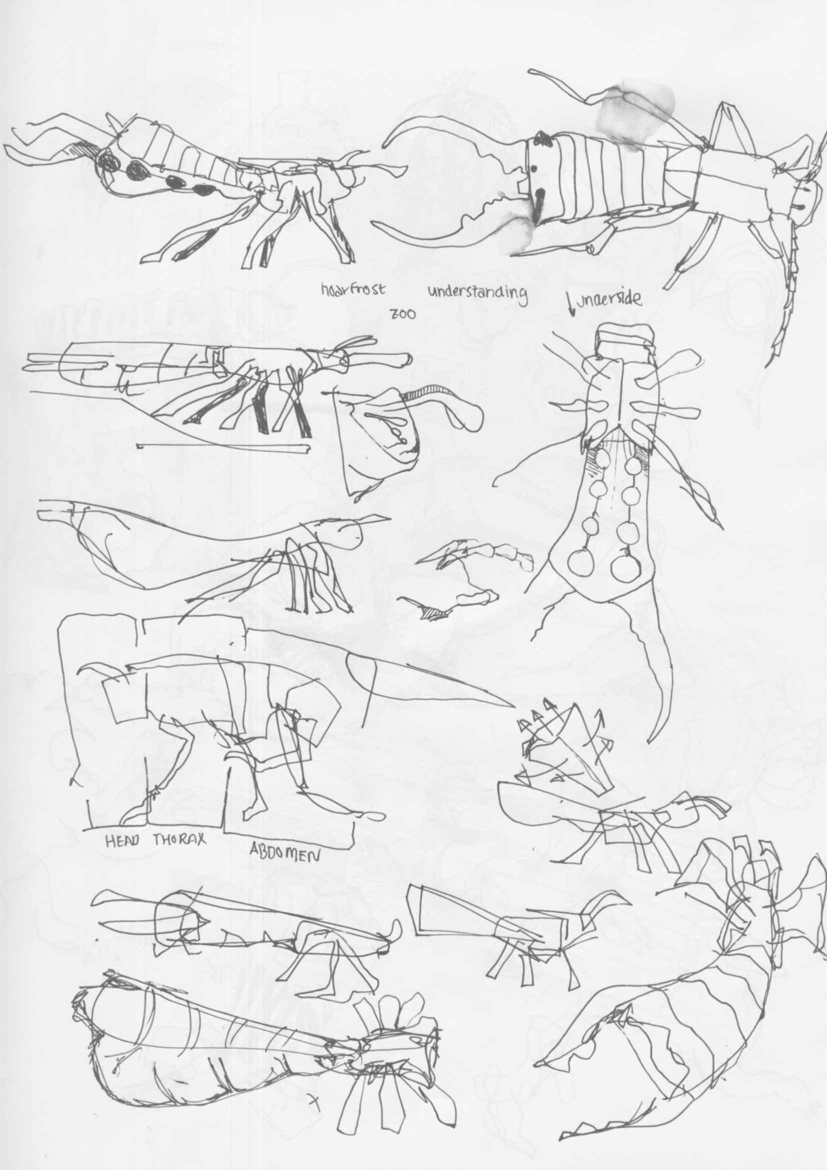 Sketchbook page 15