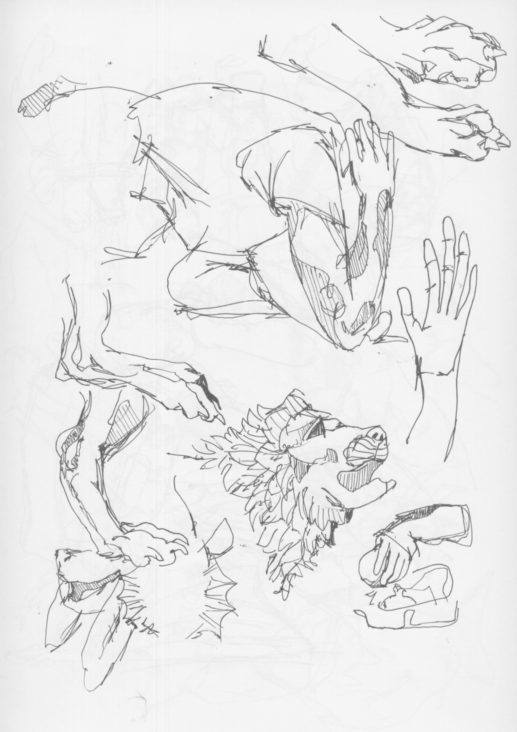 Sketchbook page 40